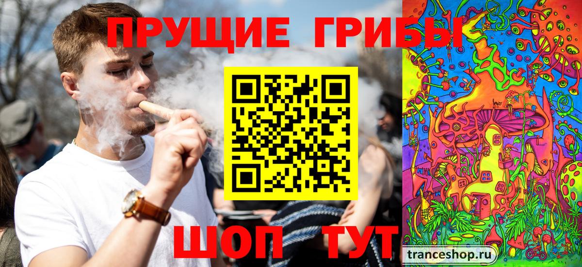 Псилоцибиновые грибы прущие грибы Абинск