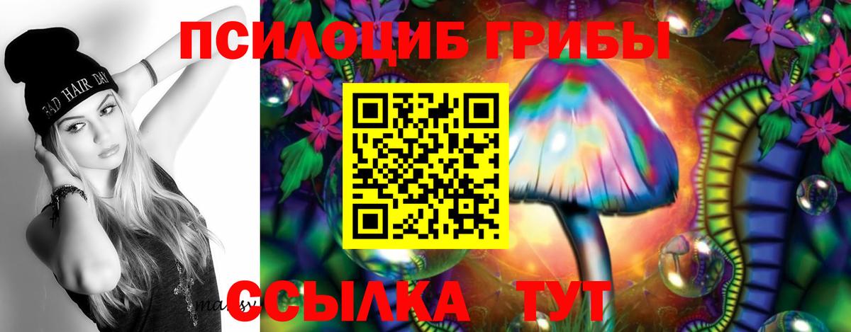 Абинск  Галлюциногенные грибы Psilocybine cubensis  Вход с VPN 